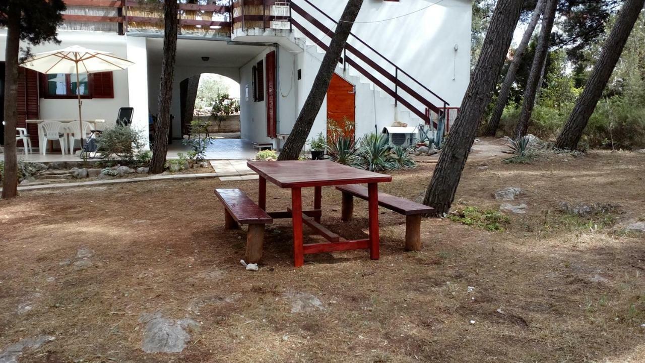 Apartments Vera - Mirca Mirca  Екстер'єр фото
