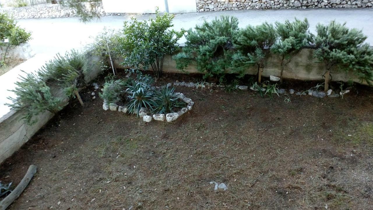 Apartments Vera - Mirca Mirca  Екстер'єр фото